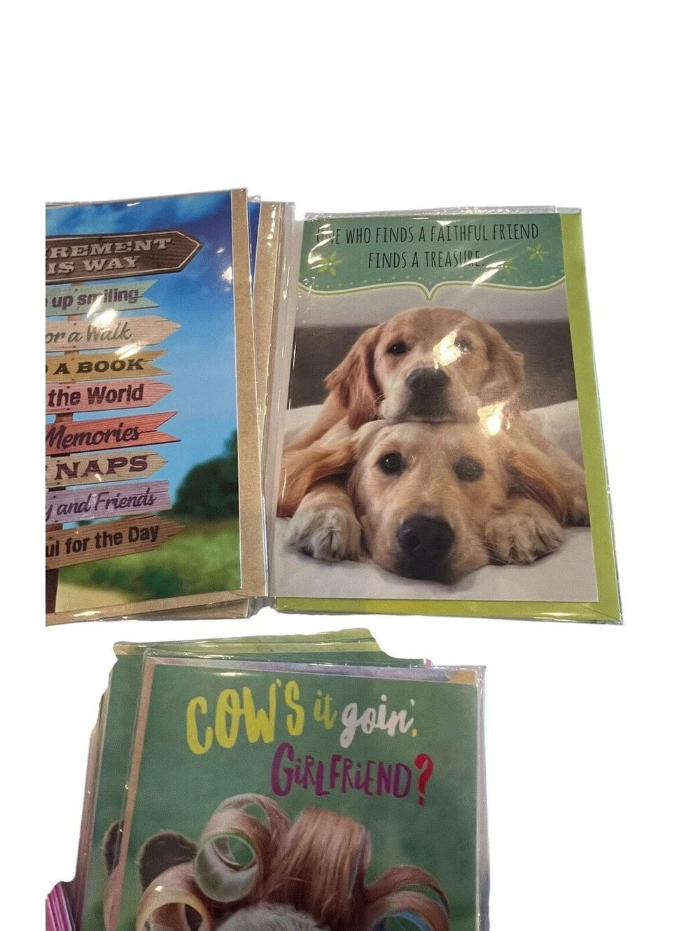 Greeting Cards-Retirement Friendship & Blank 19 Cards & Envelopes New GC110